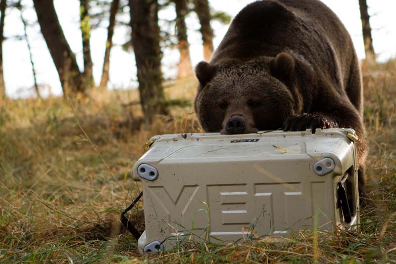 Yeti Bear-Proof Dutchland Plastics